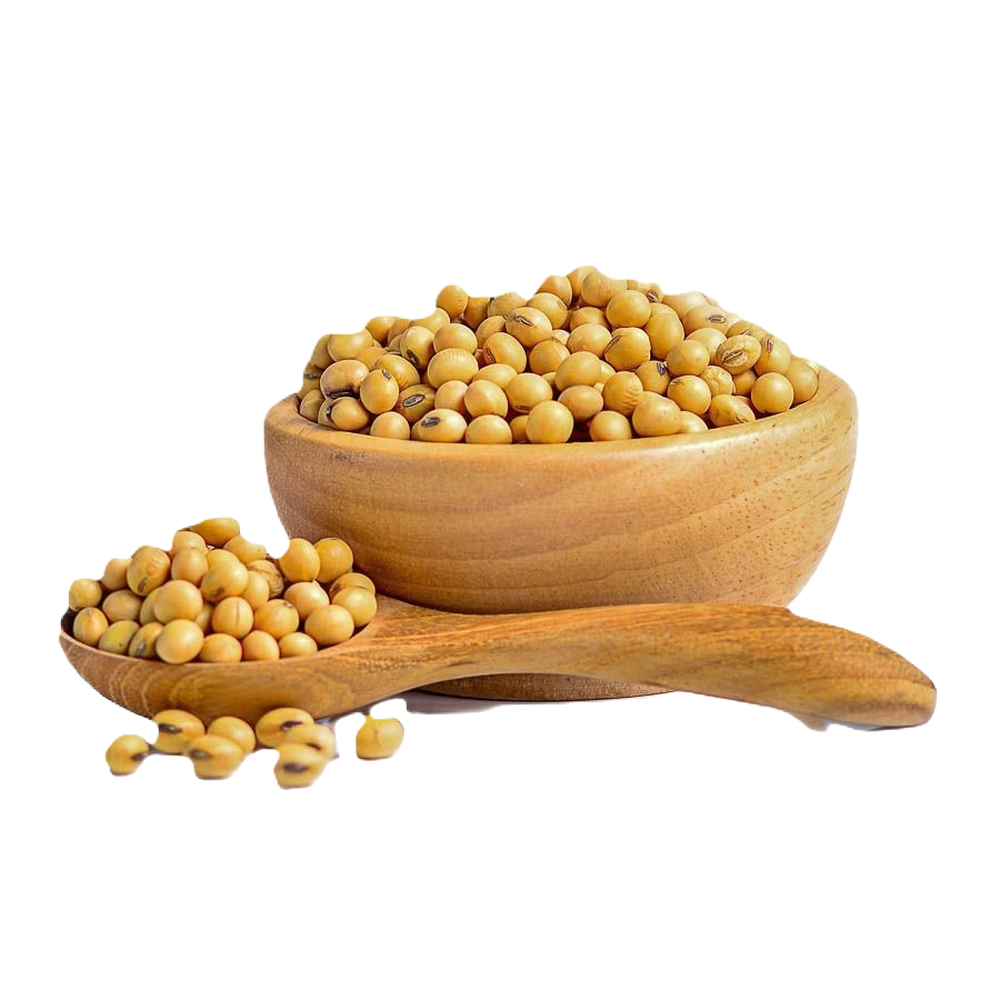 Soyabean